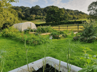 Community group to start growing organic food again