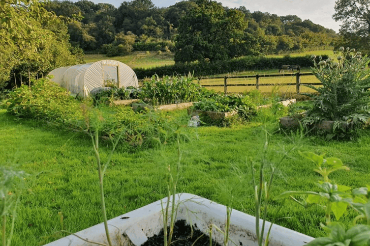 Exmoor Community Food Group is re-starting in Brushford for the new growing season.