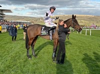 Winning Cheltenham racehorse to star in village gymkhana