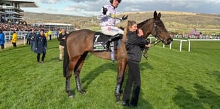 Winning Cheltenham racehorse to star in village gymkhana