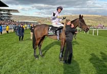 Golden Ace to sprinkle stardust in Brompton Regis gymkhana guest appearance