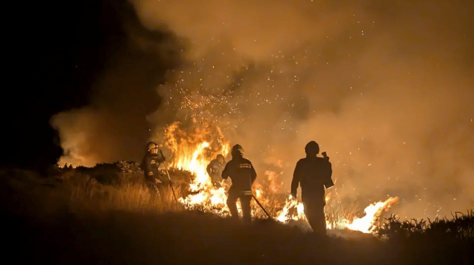 police-hunt-arsonists-after-80-acres-of-heath-set-ablaze-on-edge-of
