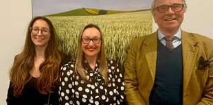 Businesswoman joins firm which urges people to take pride in Somerset
