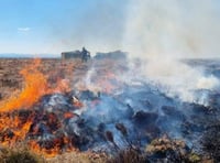 Arson fear after four heath fires in a week