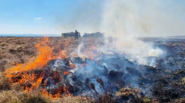 Arson fear after four heath fires in a week