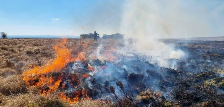 Fire crews tackled a blaze covering 37 acres of Molland Common on Sunday. PHOTO: DSFR.