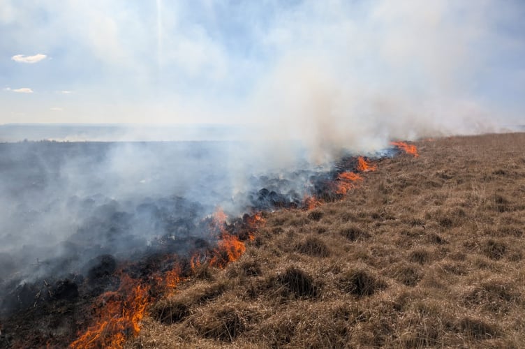 An arsonist could be at work after a blaze on Molland Common became the fourth in the area in a week. PHOTO: DSFR.