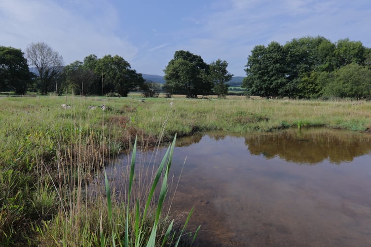 Wetland creation has been tried as phosphat mitigation to allow new housebuilding in Somerset. PHOTO: National Trust.