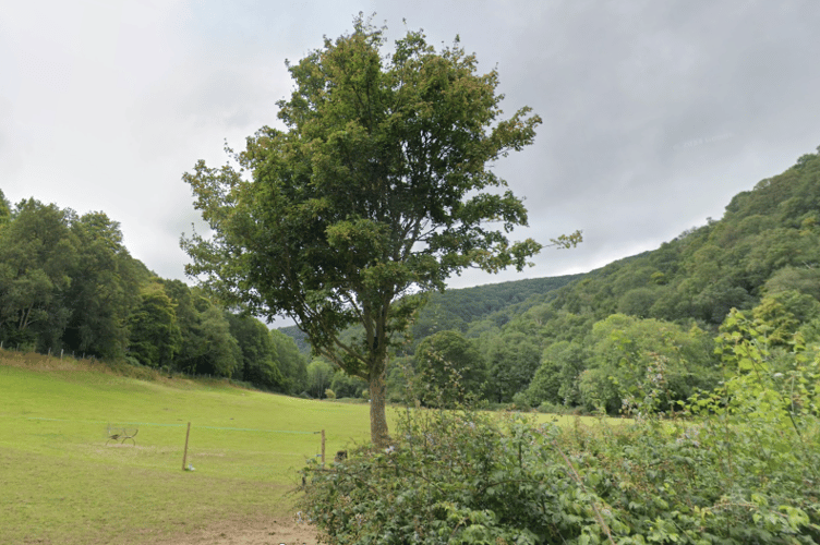 Horner Woods scouts campsite, near Porlock. PHOTO: Google Maps.