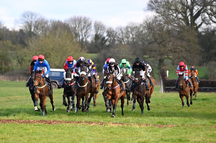 Maiden Race runners at Cothelstone (Photo: Tim Holt)