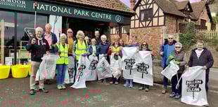 Volunteers aid village litter pick