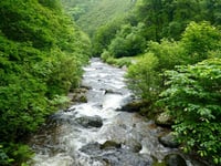 Experts to debate issues around national park rivers