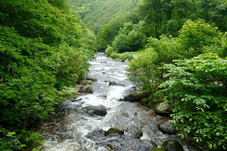 The River Lyn, one of the rivers being highlighted at an Exmoor spring conference. PHOTO: Exmoor Society.
