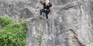 Abseilers raising funds for wildlife charity