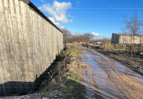 Plans to use forestry building for butchering deer killed on Exmoor