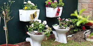 Recycled rubbish that will help your garden grow