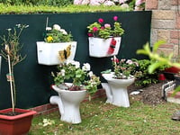 Recycled rubbish that will help your garden grow