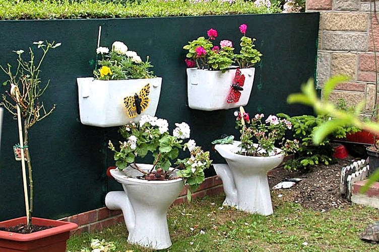 Old toilets being recycled as garden planters.