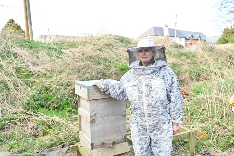 West Somerset MP Rachel Gilmour is concerned about flea and tick treatment chemicals entering waterways.