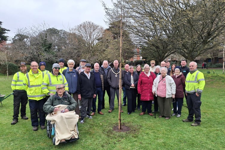 Volunteers, gardeners, and councillors past and present attended a centenary tree planting celebration in Minehead's Blenheim Gardens. PHOTO: MTC.