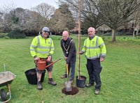 Toilet improvements to be looked at for town park