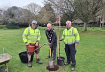 Feasibility work authorised on improving toilets in Minehead's Blenheim Gardens