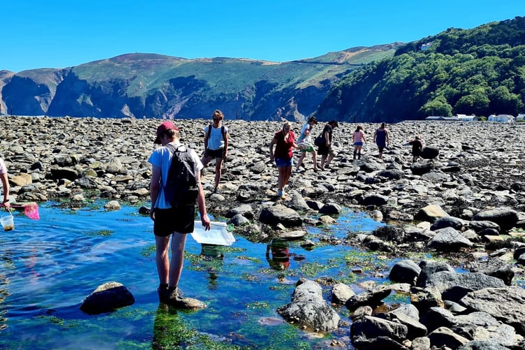 Rock pooling is one of the activities in the Exmoor Nature Festival. PHOTO: With the Wild CIC.