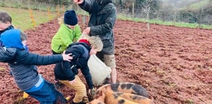 Nature festival features array of activities