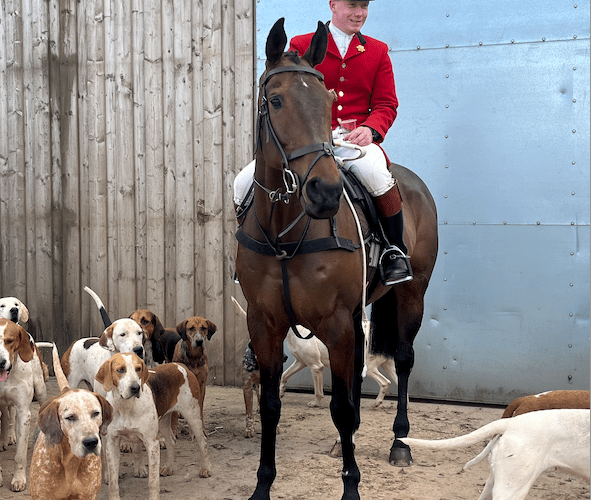 Huntsman Ryan Baugh on ex-racehorse “TikInTheBox” aka Tik.
