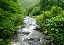 Tackling pollution in Exmoor rivers focus of panel of top experts
