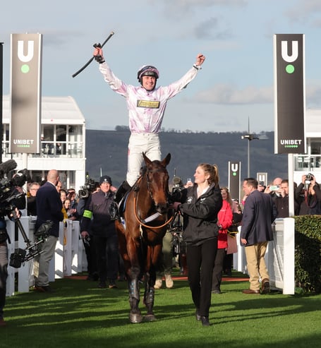 Loran Williams celebrates riding Golden Ace to victory at Cheltenham
