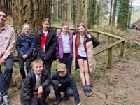 Schools send pupils to see some of England's tallest trees