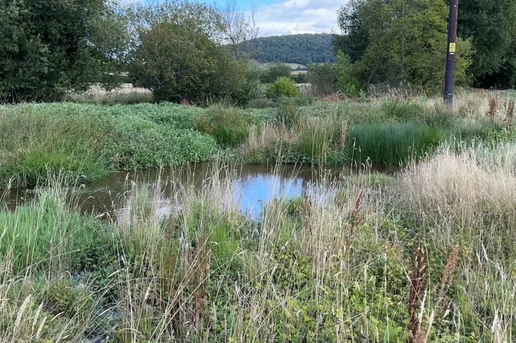 One of the newly formed ponds on the Holnicote Estate 
(Photo: View It 360)