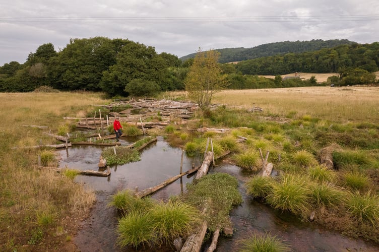 National Trust ranger  at the grounds at Holnicote wich is undergoing a river restoration project.