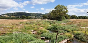 Scheme to protect Exmoor communities from flooding wins UK River Prize