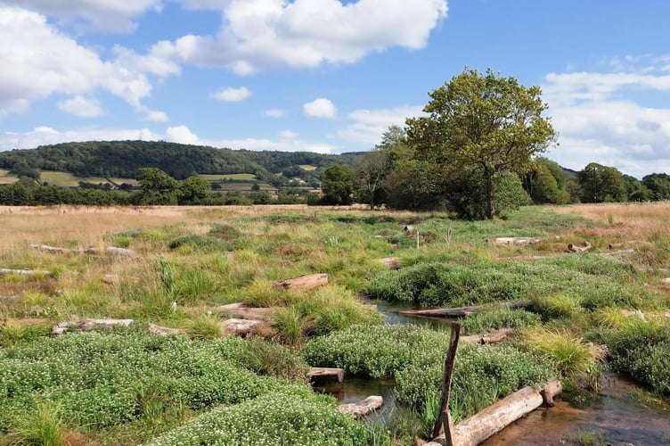 The new wetland habitat on the Holnicote Estate in Somerset - (Photo: View It 360)