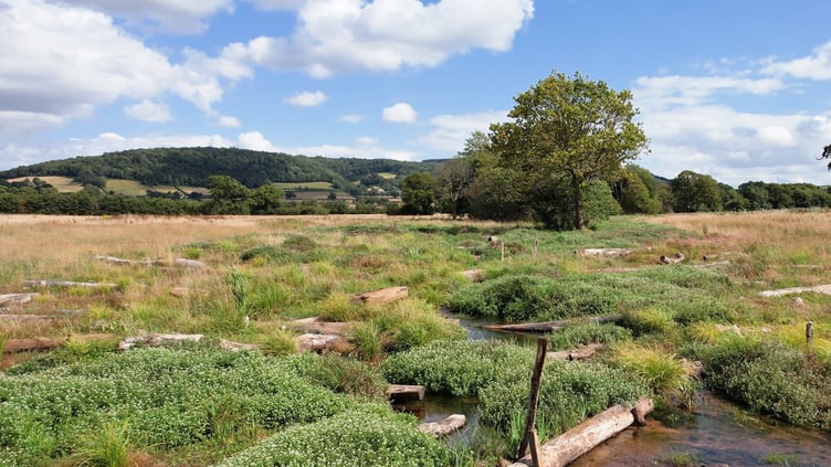 The new wetland habitat on the Holnicote Estate in Somerset - (Photo: View It 360)