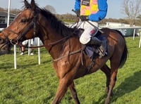 Chemical Warfare wins for the seventh time this season 