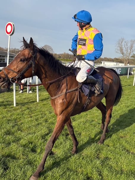 Chemical Warfare - a seven-time winner this season