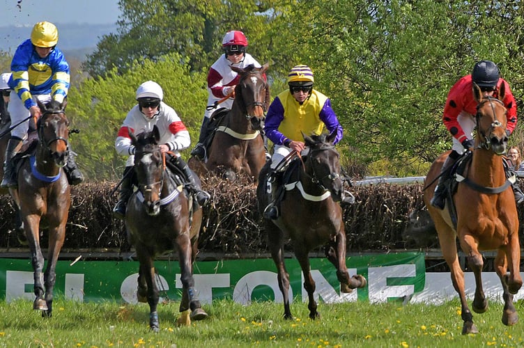 Point to point racing at Cothelstone on Easter Monday attracts big crowd