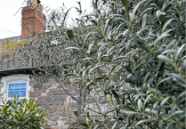 Plans to hold second Watchet jumble trail and copy it in Minehead