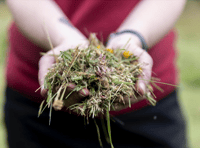 Nature festival launches photography competition