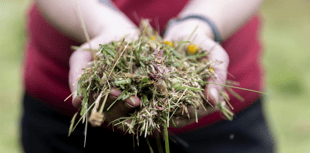 Nature festival launches photography competition