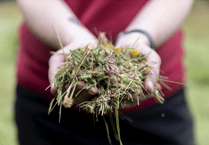 Nature photographers invited to enter Exmoor festival contest