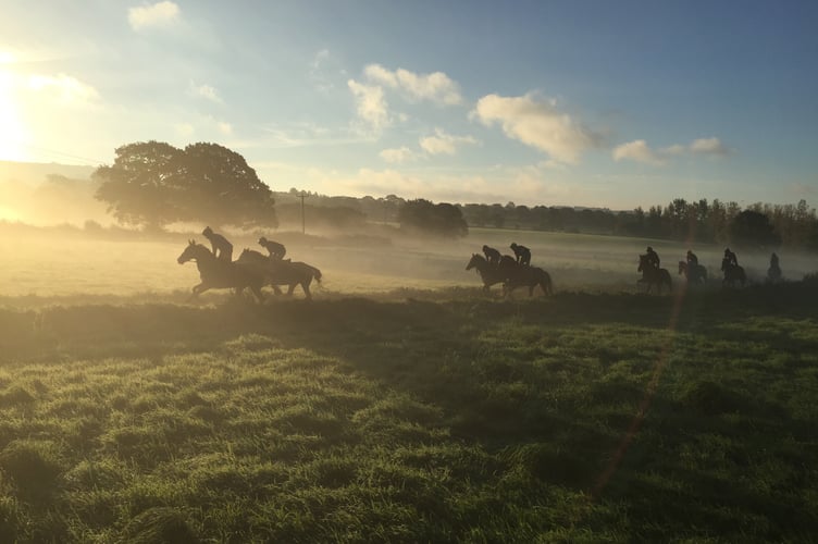 Fifty winners for the season