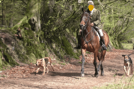 A Quantock Staghounds huntsman filmed by hunt saboteurs during a chase which they claimed went over Forestry England land. PHOTO: Hunt Saboteurs Association.