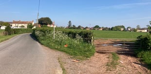 Plans for 210 homes in growing Somerset town near M5