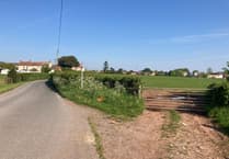 Plans for 210 homes in growing Somerset town near M5