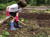 Schools in West Somerset offered garden grants