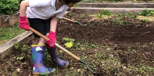 Schools in West Somerset offered garden grants